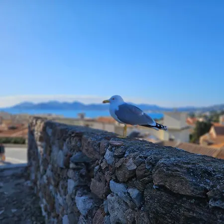 The Yachting - Host Provence 公寓 勒卡内