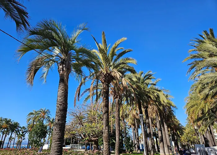 The Yachting - Host Provence